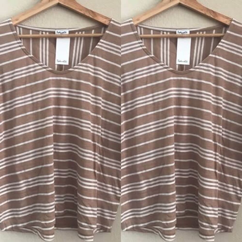 Splendid Small Brown and White Striped V-NeckTop